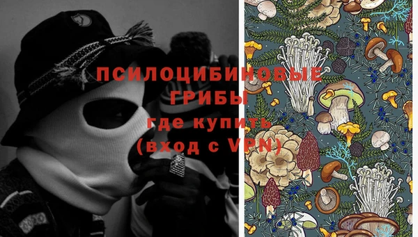 сатива Алексин